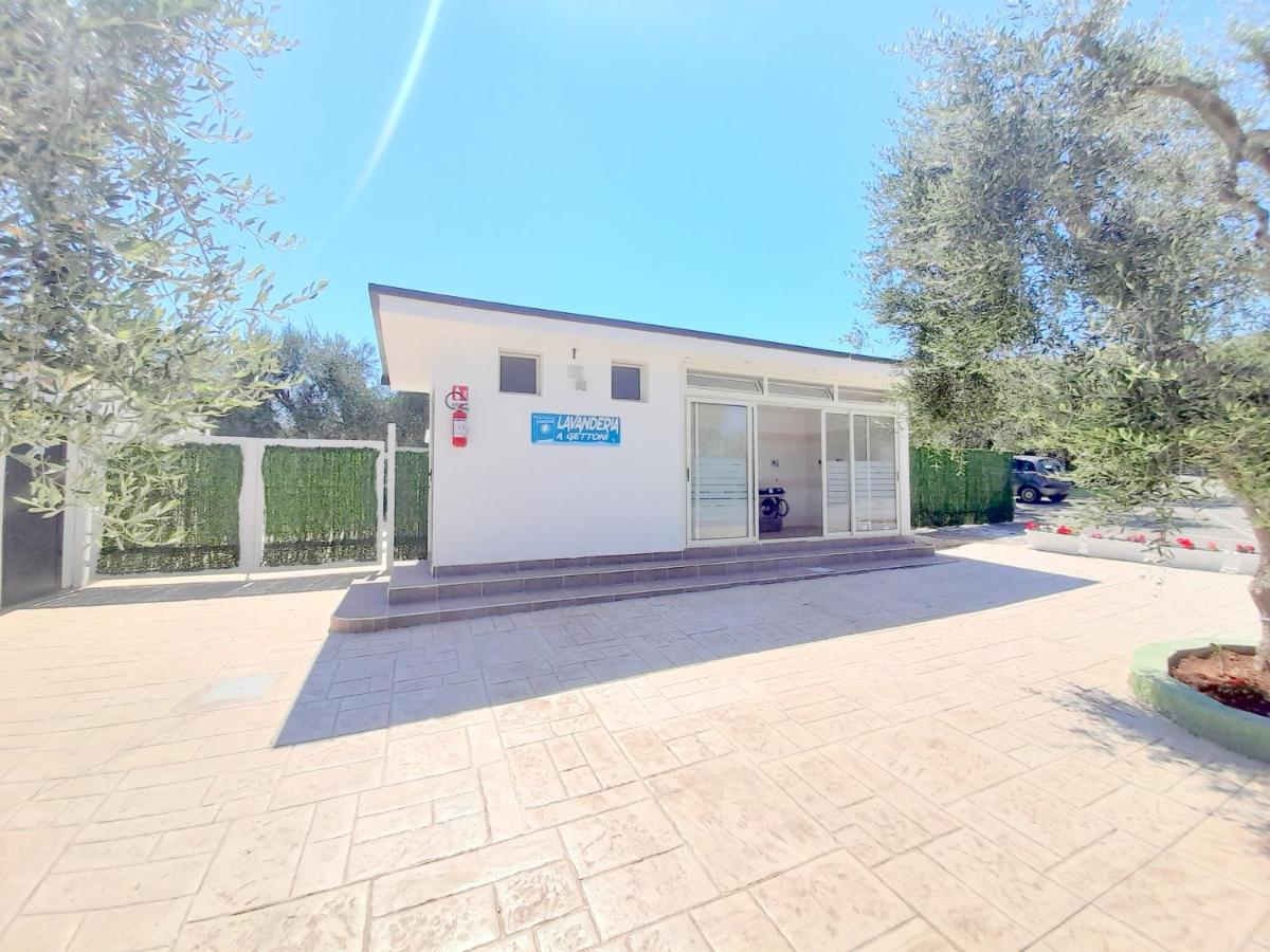 Villaggio Mare Blu Vieste Bagian luar foto